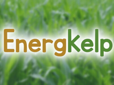 EnergKelp