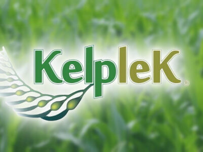 KelpleK
