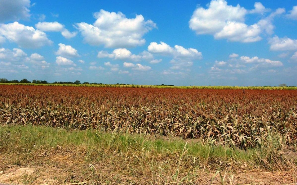 autosuficiencia alimentaria