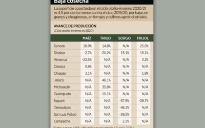 Sequía: Se ‘seca’ el sector agropecuario