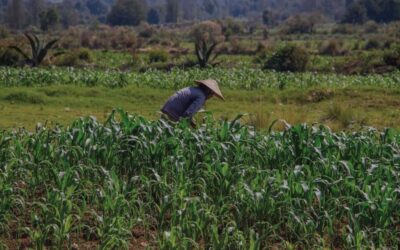 Trabajadores del campo sufren pobreza y dificultades ante grandes empresas
