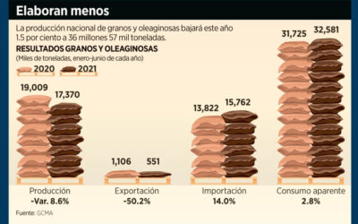 Disminuye en 8.6% cosecha de granos: GCMA