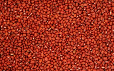 Reporte del mercado de frijol, 28 de julio: GCMA