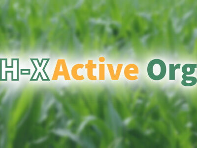 H-XActive Org
